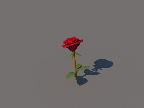 Fiore di rosa Modello 3D