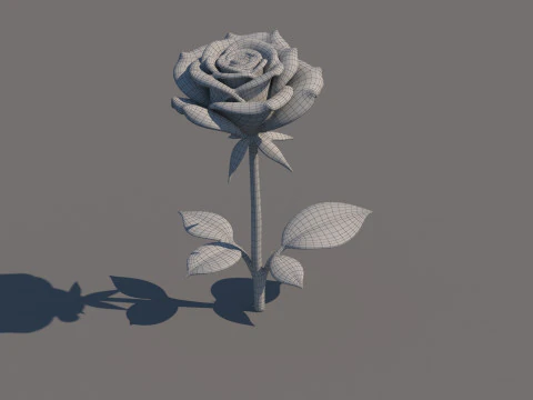 Rose Flower 3D Model