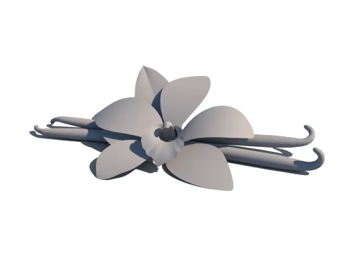 Vanilla flower 3D Model