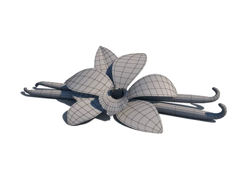 Vanilla flower 3D Model