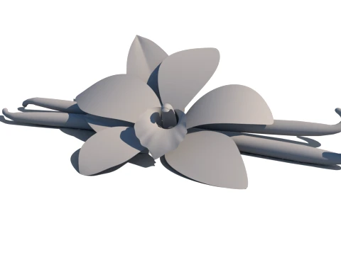 Vanilla flower 3D Model