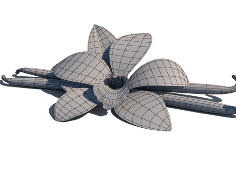 Vanilla flower 3D Model