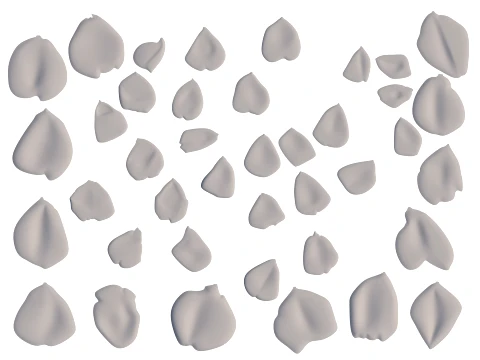 Rose Petals 3D Model
