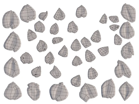 Rose Petals 3D Model