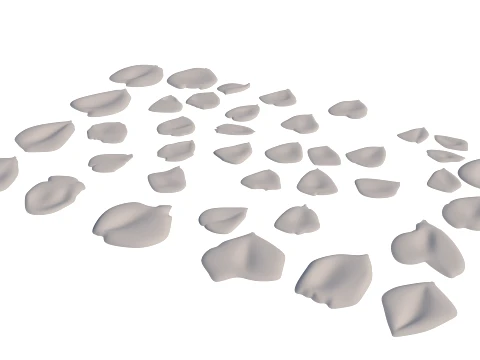 Rose Petals 3D Model