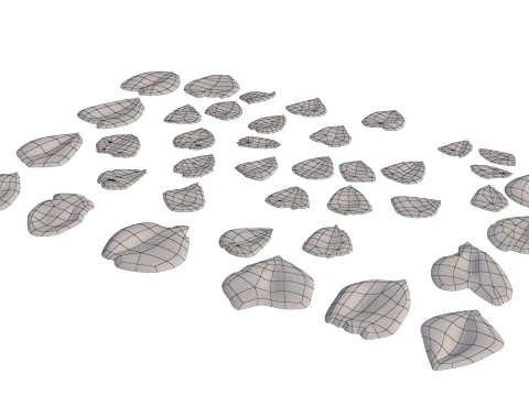 Rose Petals 3D Model
