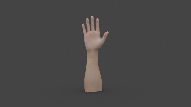 hand-006 rigged hand 3D Model .c4d .max .obj .3ds .fbx .stl .blend 