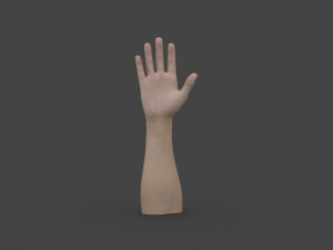hand-006 rigged hand 3D Model