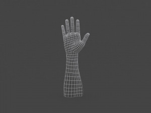 hand-006 rigged hand 3D Model