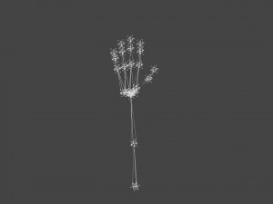 hand-006 rigged hand 3D Model