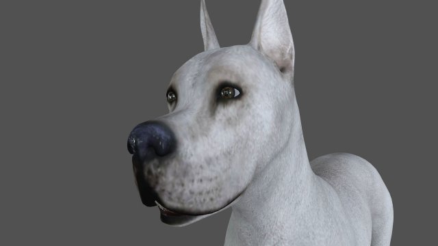 fdgd-001 dog animation Modello 3D .c4d .max .obj .3ds .fbx .stl .blend