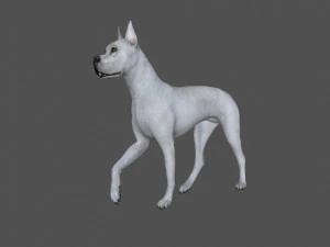 fdgd-001 dog animation 3D Model
