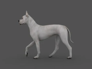 fdgd-001 dog animation 3D Model