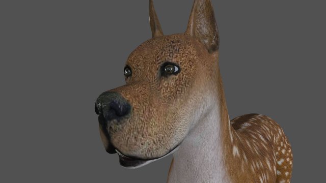 fdgd-002 dog animation Model 3D .c4d .max .obj .3ds .fbx .stl .blend 