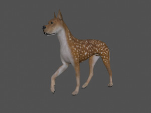 fdgd-002 dog animation Model 3D