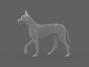 fdgd-002 dog animation Model 3D