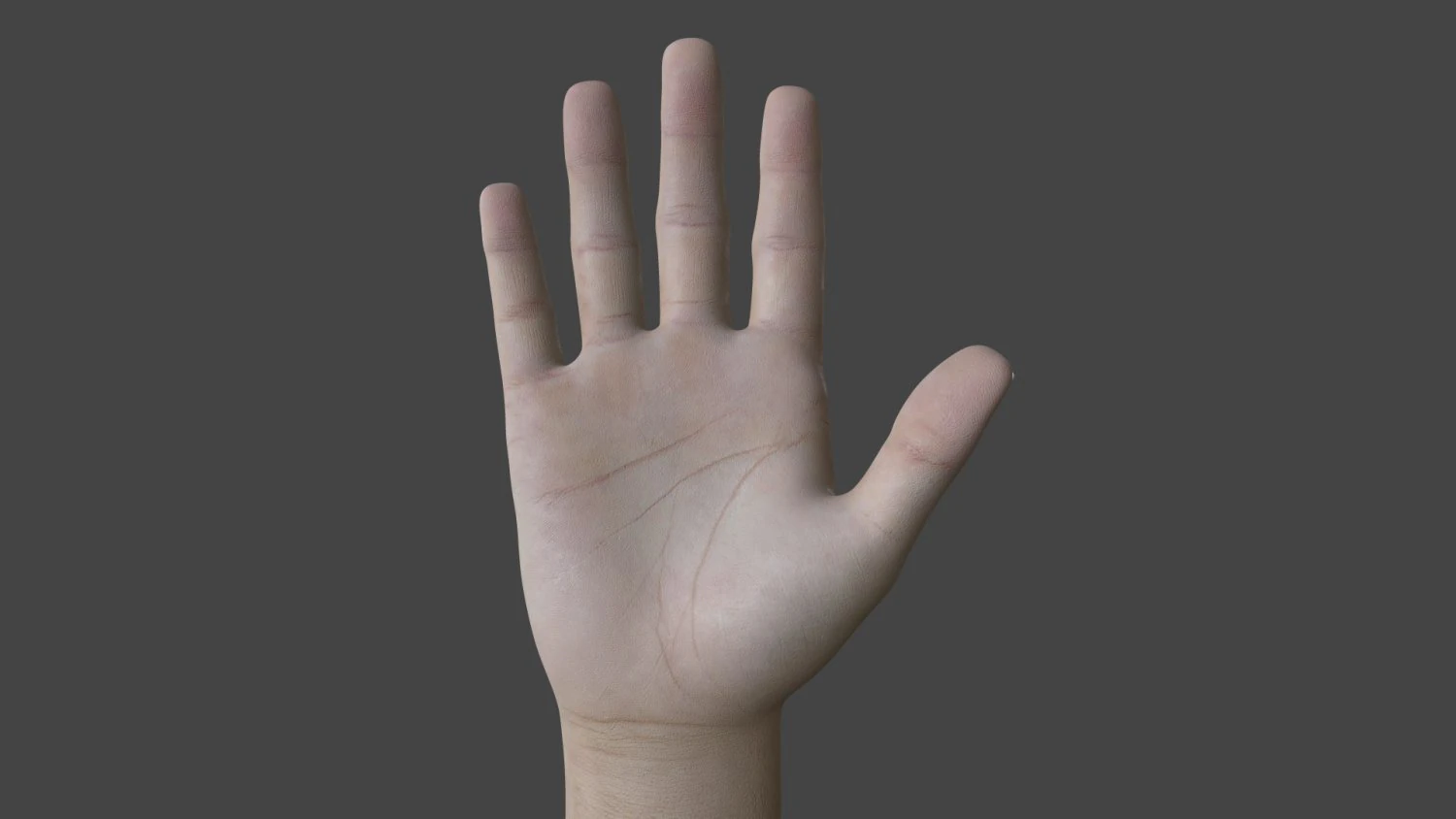 TSHR-001 Rigged right hand 3D Model .c4d .max .obj .3ds .fbx .stl .blend