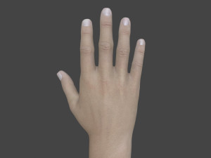 TSHR-001 Rigged right hand Modelo 3D