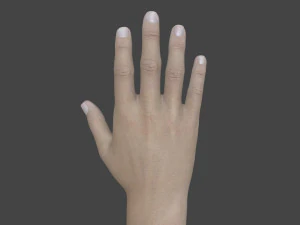 TSHR-001 Rigged right hand 3D Model