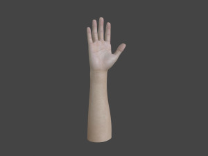 TSHR-001 Rigged right hand Modelo 3D