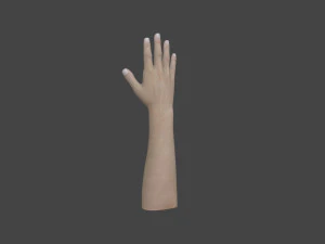 TSHR-001 Rigged right hand 3D Model