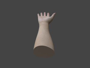 TSHR-001 Rigged right hand Modelo 3D