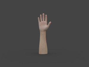 TSHR-001 Rigged right hand Modelo 3D