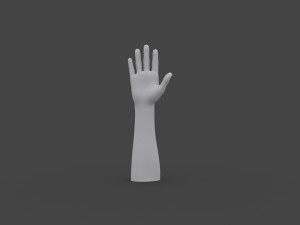 TSHR-001 Rigged right hand Modelo 3D