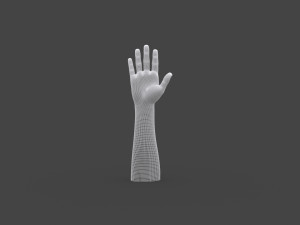 TSHR-001 Rigged right hand Modelo 3D