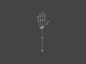 TSHR-001 Rigged right hand Modelo 3D