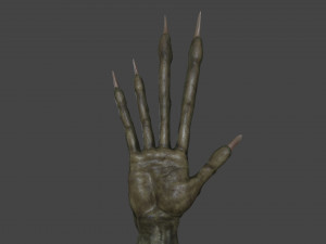 TSHR-002 Rigged right hand 3D Model