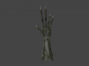 TSHR-002 Rigged right hand 3D मॉडल