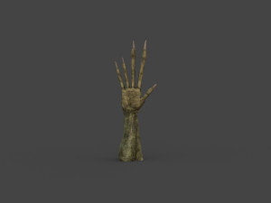 TSHR-002 Rigged right hand 3D मॉडल