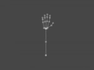 TSHR-003 Rigged right hand 3D Model