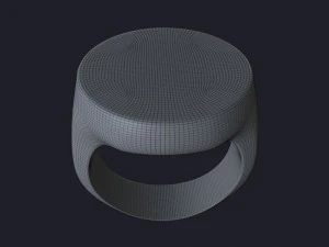 RING-001 3D Model