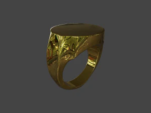 RING-002 3D Model