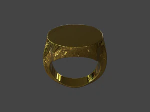 RING-002 3D Model