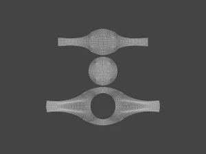 RING-002 3D Model