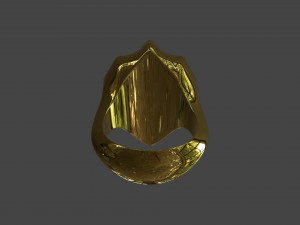 RING-003 3D Model