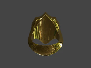 RING-003 3D Model