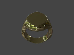 RING-004 3D Model