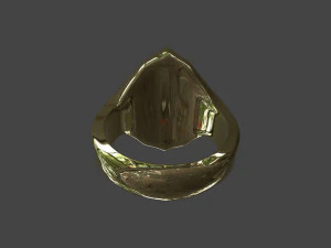 RING-004 3D Model