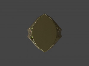 RING-004 3D Model