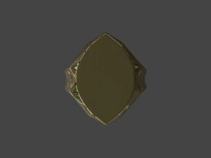 RING-004 3D Model