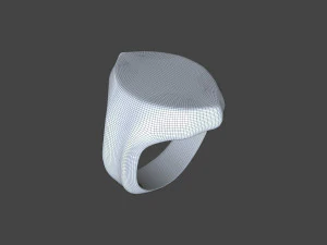 RING-004 3D Model