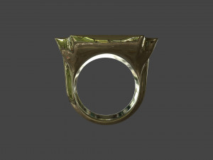 RING-005 Modèle 3D
