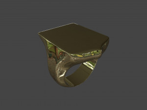RING-006 3D मॉडल