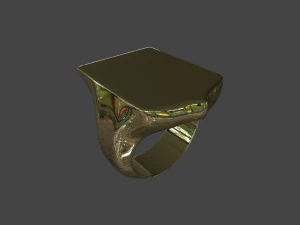 RING-006 3D Model