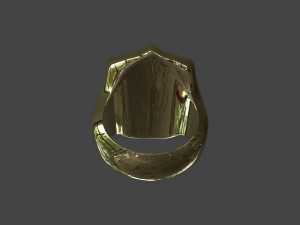 RING-006 3D मॉडल