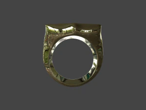 RING-006 3D Model